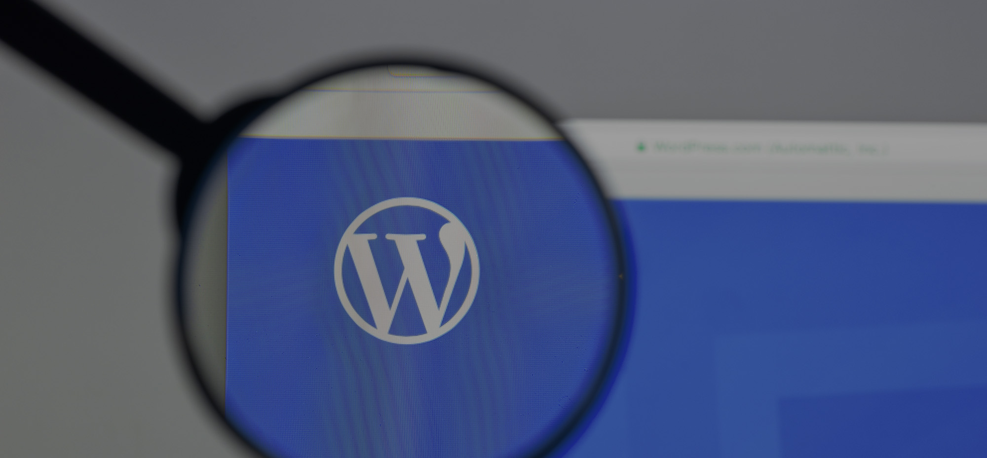 Magnifying glass focused on the WordPress logo displayed on a blue screen, with the browser bar slightly visible at the top.