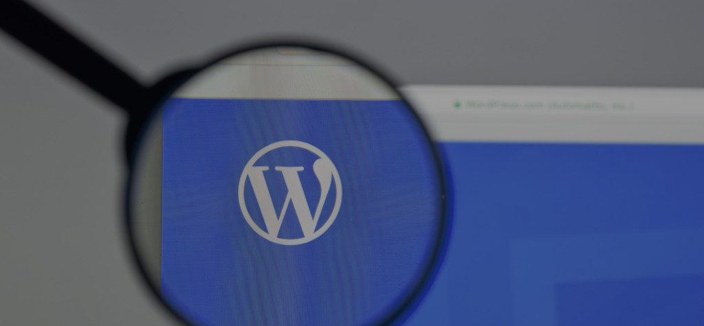Magnifying glass focused on the WordPress logo displayed on a blue screen, with the browser bar slightly visible at the top.