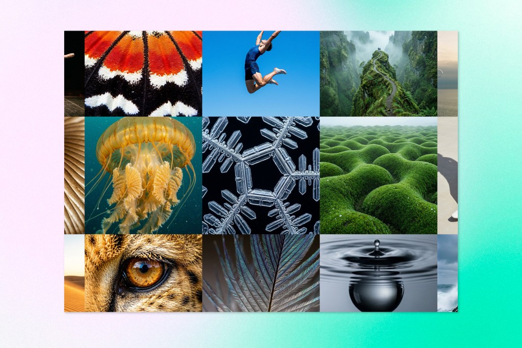 Grid of diverse images including nature, animals, textures, and landscapes representing multimodal AI visual inputs.