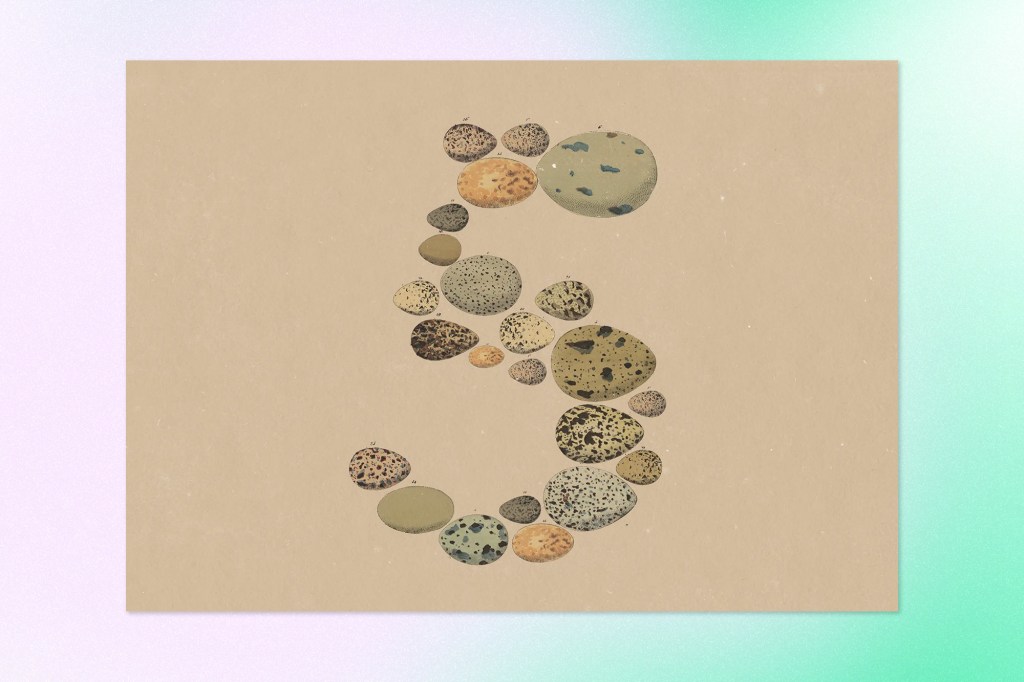 Vintage illustration of speckled eggs arranged in the shape of a question mark.